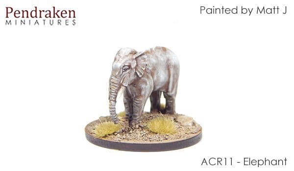 Elephant bare (2)