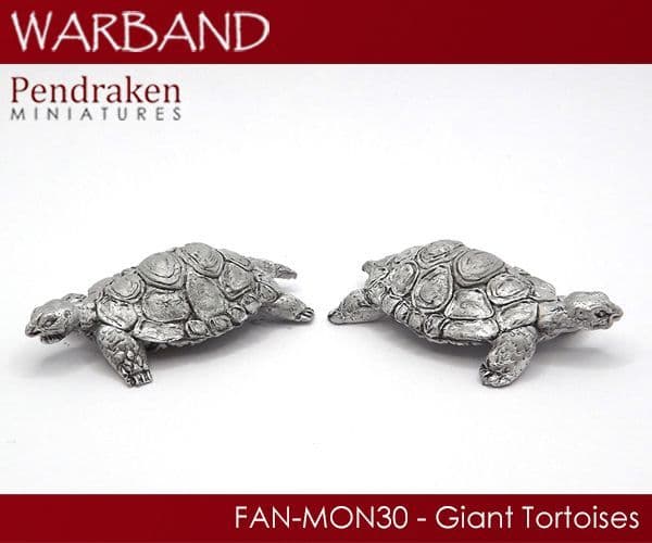 Giant Tortoises (2)