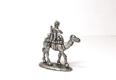 Mounted camel corp