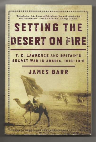 Setting the Desert on Fire: T E Lawrence and Britain's Secret War in Arabia, 1916-1918