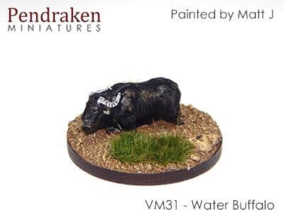 Water buffalo (5)